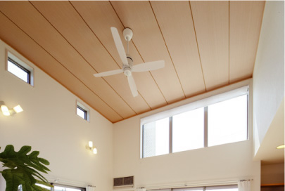 ���r���O